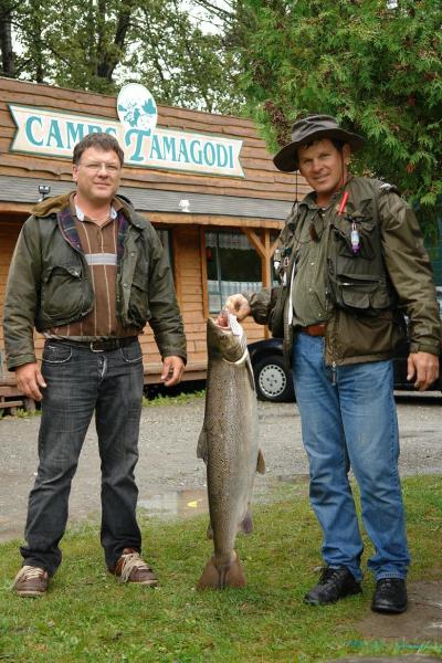 Joli saumon aux camps tamagodi