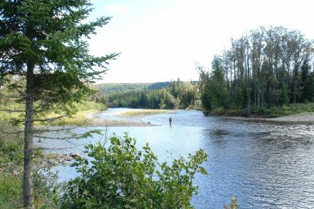 Voici l'une des fosses de la riviere : 