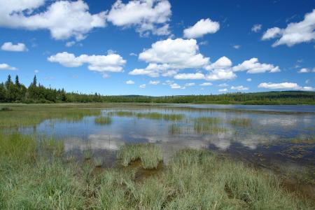 Le lac de la tête.