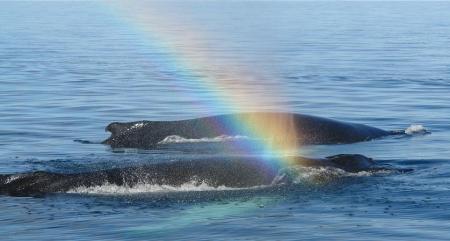 Le souffle en arc en ciel